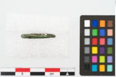 Foto von Bronzering (NHMW-PRAE-003472)